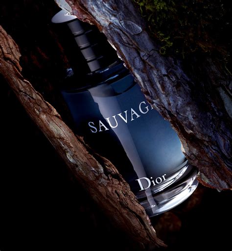 universo dior online